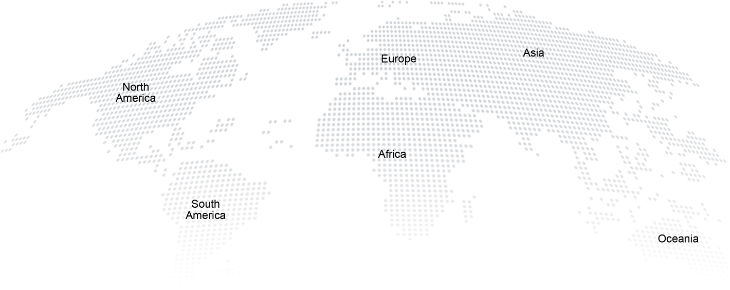 Dongfeng light commercial vehicle global footprint map